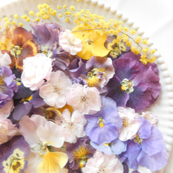 押し花用アイロン プロに教わる押し花の作り方。アイロンやレンジで簡単