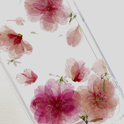 櫻花 Sakura 乾燥花手機殼 第3張的照片