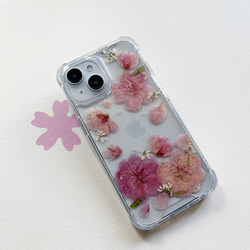櫻花 Sakura 乾燥花手機殼 第4張的照片