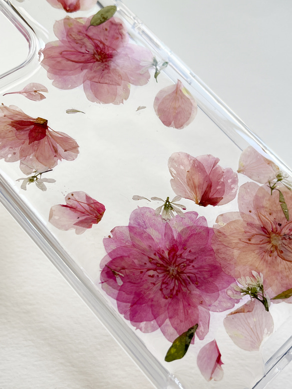 櫻花 Sakura 乾燥花手機殼 第5張的照片