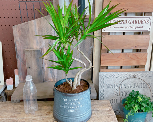 631cae3be22f701fc3621ee09a5892