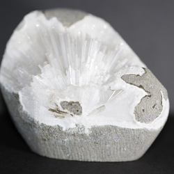 3b6ddb0ac45fc8795e7aed65b5ed0e