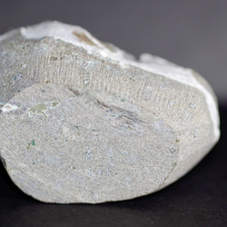 スコレサイト229gスコレス沸石 / 原石 標本 12枚目の画像