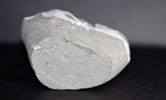 スコレサイト229gスコレス沸石 / 原石 標本 12枚目の画像