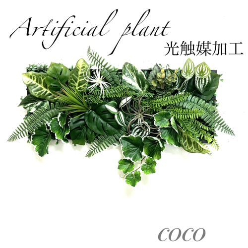 光触媒加工ウォールグリーン フェイクグリーン【横長中型】 アート  