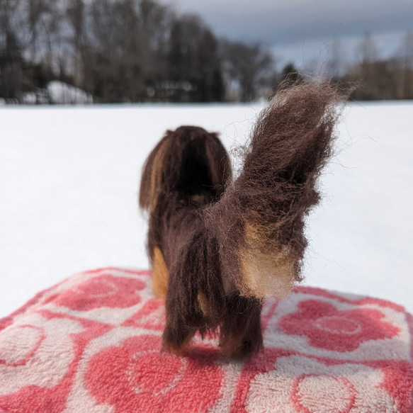 【ココアくん専用】オーダー 羊毛フェルト犬 ダックス チョコタン 8枚目の画像