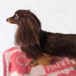 【ココアくん専用】オーダー 羊毛フェルト犬 ダックス チョコタン 11枚目の画像