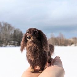 と*ん様 拒否シバ　芝犬　柴犬　豆柴　羊毛フェルト　犬　写真立て　壁掛け　置物 拒否シバ 芝犬 柴犬 豆柴 羊毛フェルト 犬 写真立て 壁掛け 置物