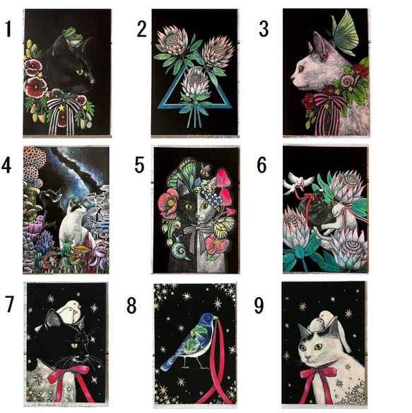オリジナルポストカード３枚セット 「ねこつむり 恋人達の休息」「Anne」「Rorry」★ 猫 星月猫 アート 6枚目の画像