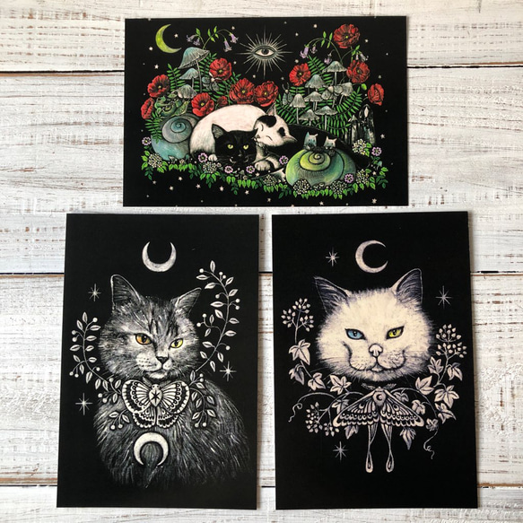 オリジナルポストカード３枚セット 「ねこつむり 恋人達の休息」「Anne」「Rorry」★ 猫 星月猫 アート 1枚目の画像
