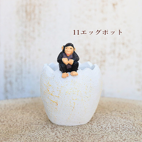 多肉植物　寄せ植え　そのまま飾れる♡ バッグ型プランター おうち型多肉プランターに寄せ植え🎶 | CAINZ DIY Square