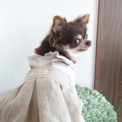小型犬用 ♡ 春夏犬服 ♡ ナチュラルシンプルなワンピース 1枚目の画像