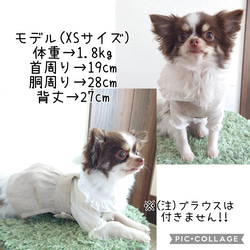 小型犬用 ♡ 春夏犬服 ♡ ナチュラルシンプルなワンピース 7枚目の画像