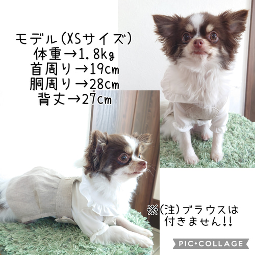 小型犬用 ♡ 春夏犬服 ♡ 着脱楽ちん ♡ ナチュラルシンプルな 小型犬用 ♡ 春夏犬服 ♡ 着脱楽ちん ♡ ナチュラルシンプルな