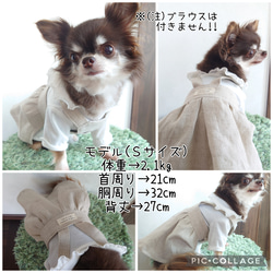 小型犬用 ♡ 春夏犬服 ♡ ナチュラルシンプルなワンピース 8枚目の画像