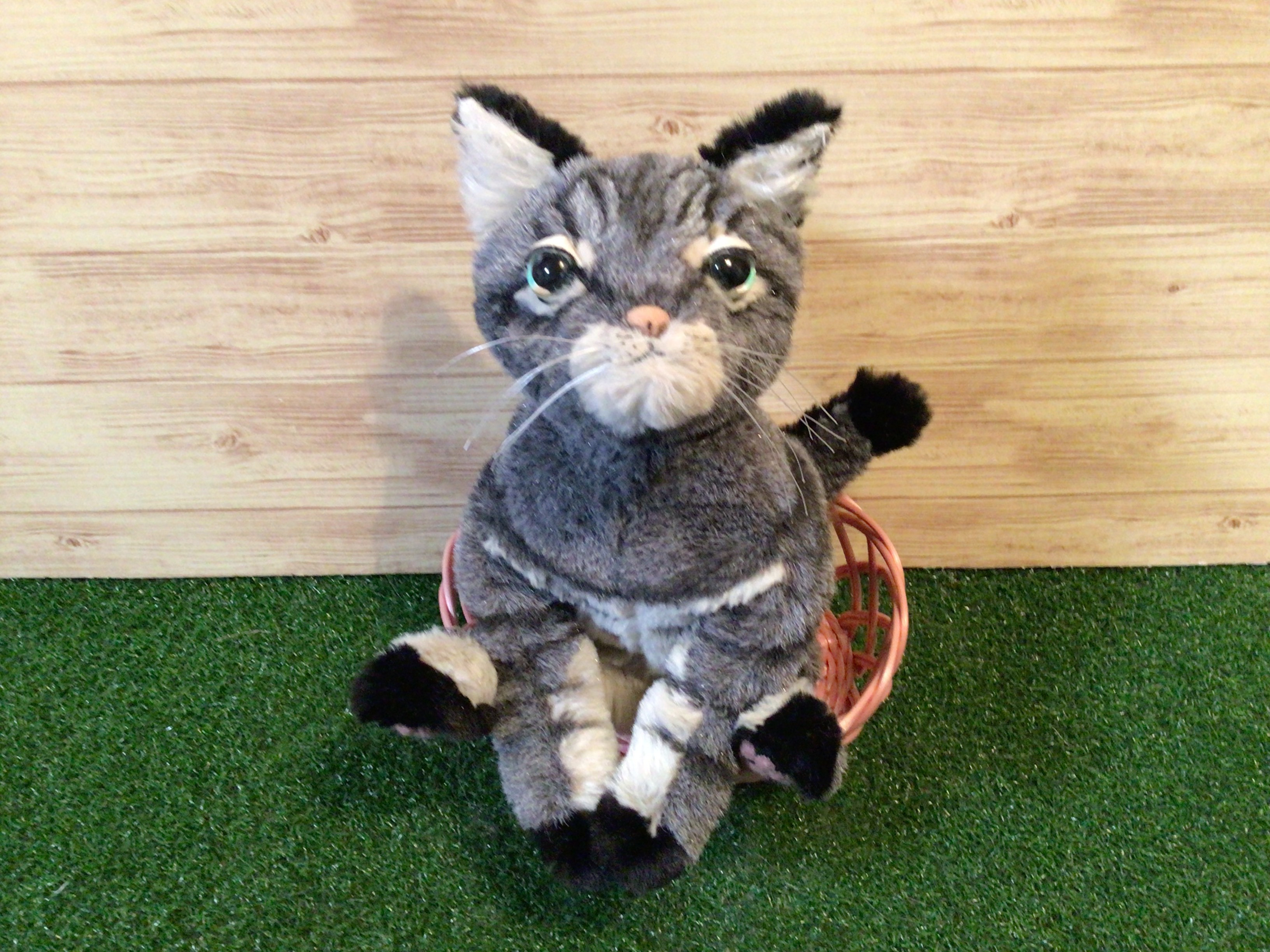ブランド購入サイト p様愛猫ちゃんオーダーメイド品(キジトラ猫) 縫いぐるみ21センチ 美容液