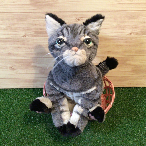 p様愛猫ちゃんオーダーメイド品(キジトラ猫) 縫いぐるみ21センチ