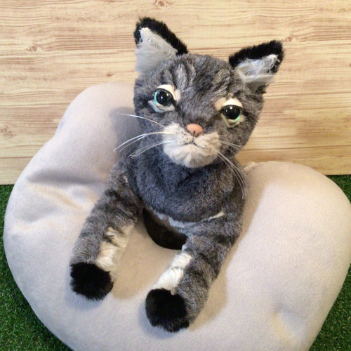 p様愛猫ちゃんオーダーメイド品(キジトラ猫) 縫いぐるみ21センチ