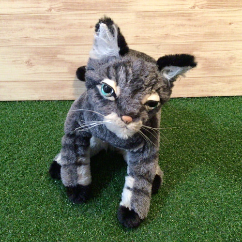 p様愛猫ちゃんオーダーメイド品(キジトラ猫) 縫いぐるみ21センチ
