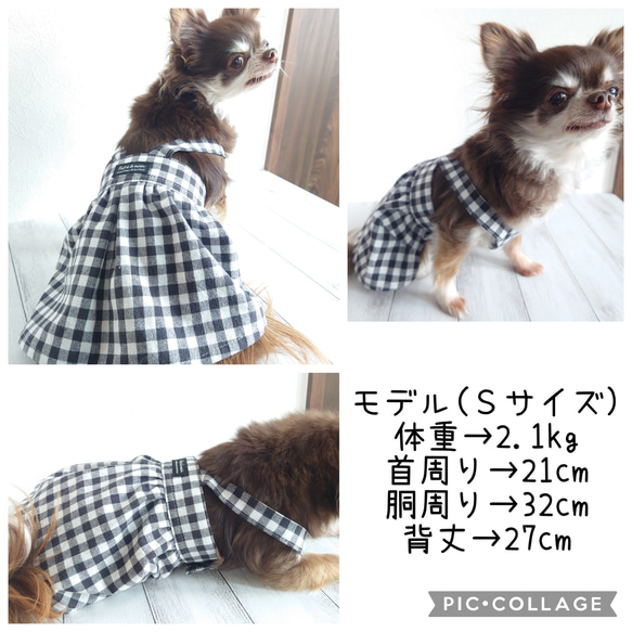 小型犬用 ♡ 春夏犬服 ♡ ギンガムチェック ♡ シンプルなワンピース 8枚目の画像