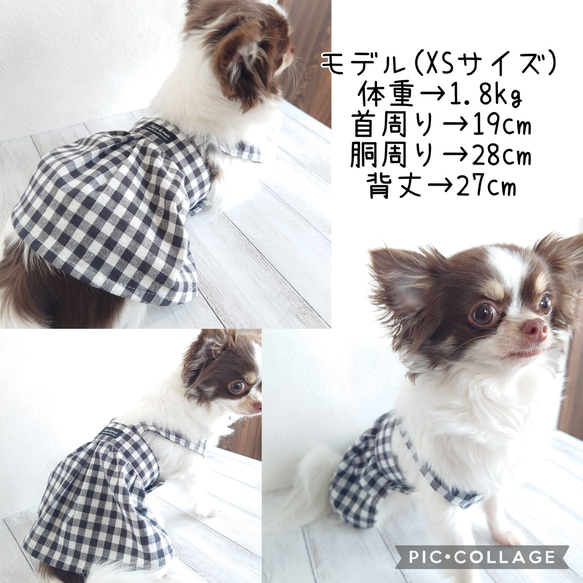 小型犬用 ♡ 春夏犬服 ♡ ギンガムチェック ♡ シンプルなワンピース 7枚目の画像