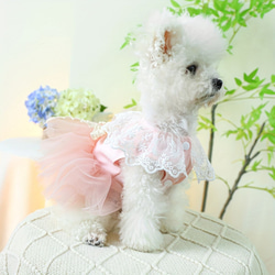 ペット服 春夏用 ピンク ドレス 小型犬用 小型猫用 かわいい おしゃれ プリンセス風 お姫様 cht-1095 3枚目の画像