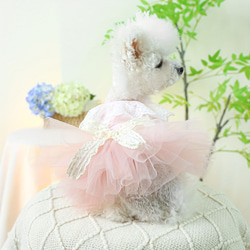 ペット服 春夏用 ピンク ドレス 小型犬用 小型猫用 かわいい おしゃれ プリンセス風 お姫様 cht-1095 2枚目の画像