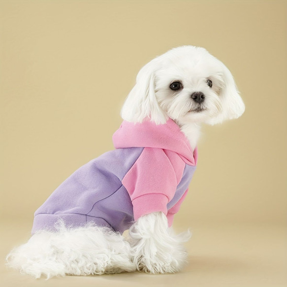 【紫】ペット服 マカロンカラー パーカー 暖かい かわいい おしゃれ 小型犬用 cht-1102 1枚目の画像