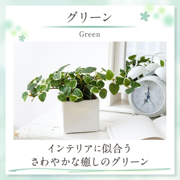 HANAYUKI フェイクグリーン プミラ 20cm グリーン色 卓上サイズ 光触媒加工付き 人工観葉植物 室内用 おし 3枚目の画像