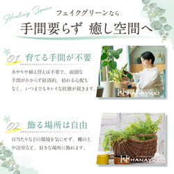 HANAYUKI フェイクグリーン プミラ 20cm グリーン色 卓上サイズ 光触媒加工付き 人工観葉植物 室内用 おし 7枚目の画像