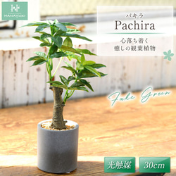 HANAYUKI 人工観葉植物 フェイクグリーン パキラ 30cm 光触媒加工付き