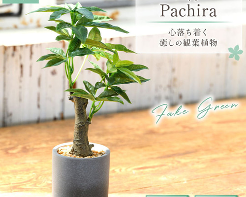 HANAYUKI 人工観葉植物 フェイクグリーン パキラ 30cm 光触媒加工付き