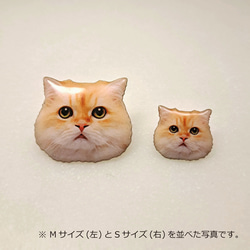 " ペルシャ猫 " ピンバッジ【Mサイズ】 3枚目の画像