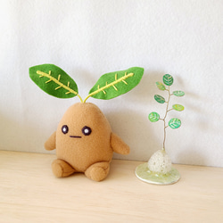 盆栽のぬいぐるみ ぬいぐるみ くろまるファクトリー 通販 14853828