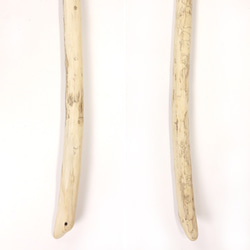 【温泉流木】色白に細やか模様のある枝付き流木棒 流木素材 インテリア素材 オブジェ レイアウト 3枚目の画像