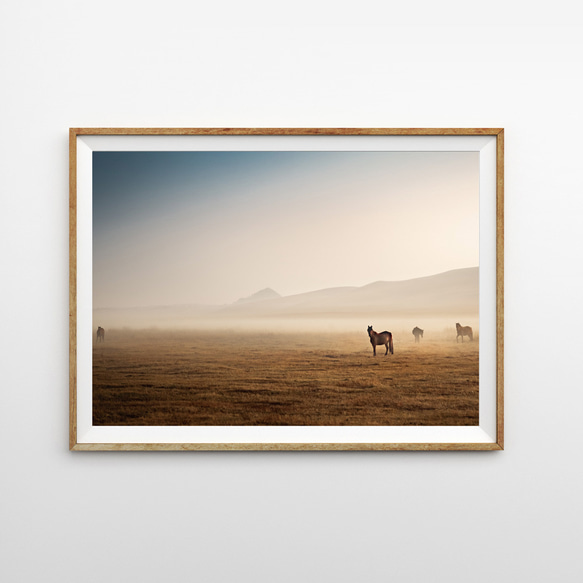 砂漠とアニマル　馬 おしゃれな自然と動物のポスター 1枚目の画像