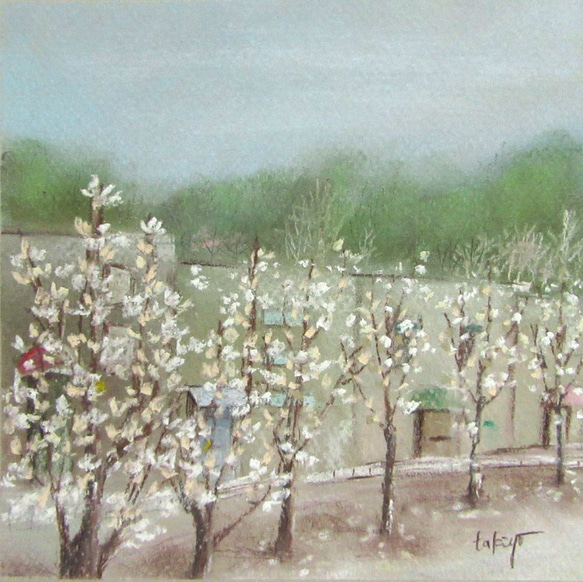 木蓮の咲く街(creema限定・パステル画・額付き） 3枚目の画像