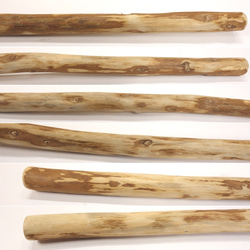 【温泉流木】茶色の木の表皮が残る細長枝の棒流木 流木素材 インテリア素材 オブジェ レイアウト 6枚目の画像