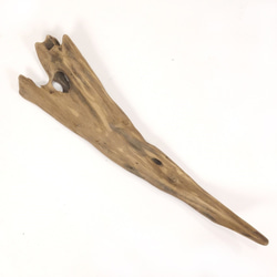 【温泉流木】カッパの手のような平たい変形流木 流木素材 インテリア素材 オブジェ レイアウト 2枚目の画像