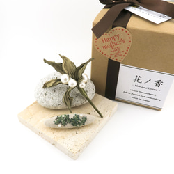 【 母の日ギフトBOX. 】Botanical. 布花ブローチとバレッタSet. (A) | 送料無料( 定形外郵便 ) 1枚目の画像