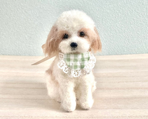 いつでもいっしょ♪ ふわふわ小さなホワイトのトイプードル 犬の