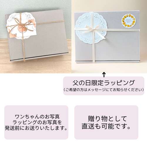 いつでもいっしょ♪ ふわふわ羊毛フェルトのシーズー ギフト 犬