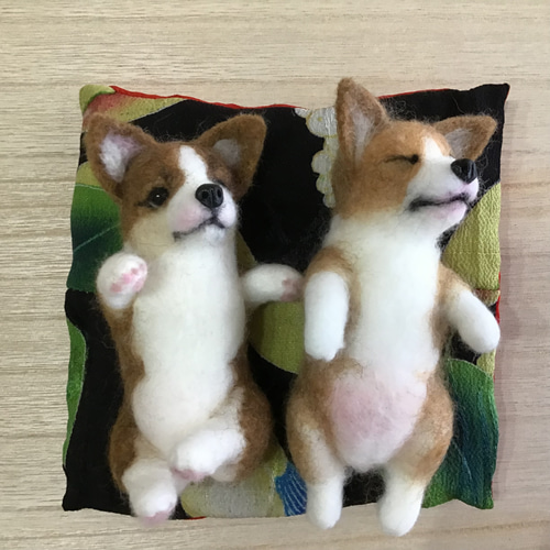 コーギーパピー寝姿2態❣️ 羊毛フェルト コーギー大好きママ