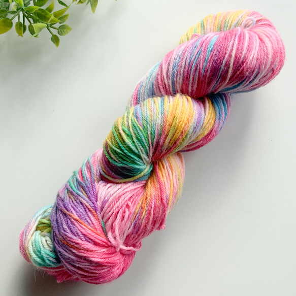 手染め毛糸 ソックヤーン Fr（2）薄 100g 毛糸 Multicolor yarn 通販 