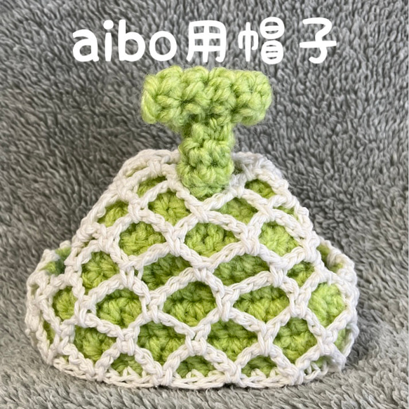 aibo用帽子❤️メロンの帽子 1枚目の画像