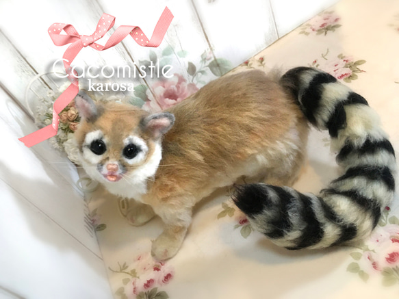 カコミスル アライグマ ジャコウネコ ネコ ネズミ 鼠 羊毛フェルト