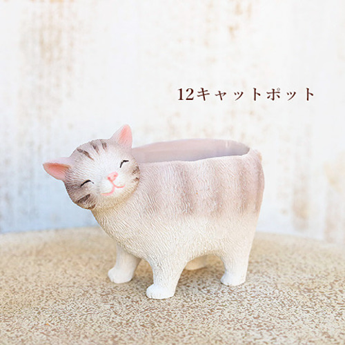 多肉植物2個×ミニプランターセット リールシネット ポット 培養