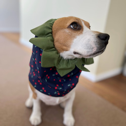 さくらんぼスヌード　コットン　小型犬〜中型犬 9枚目の画像