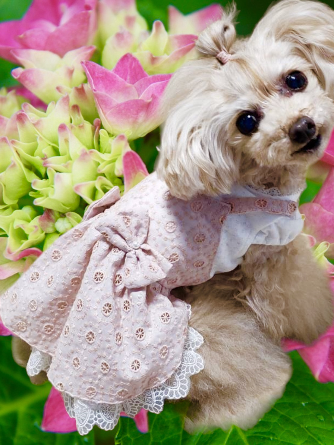 のぉーページ　犬服　猫服　ハンドメイド　ワンピース　わんちゃん No.2犬服 猫服 ハンドメイド ワンピース わんちゃん ペット服