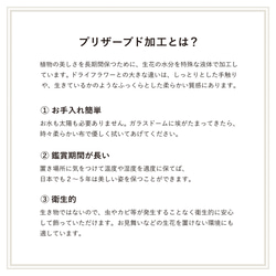 こちらの商品は「Tenorium」販売ページへ移行しました【リンクは作品紹介文まで】 11枚目の画像